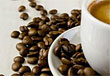 The Mustard Seed Coffee Shop